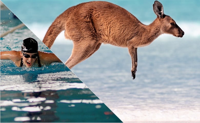 오스트레일리아 - 영어 와 수영
