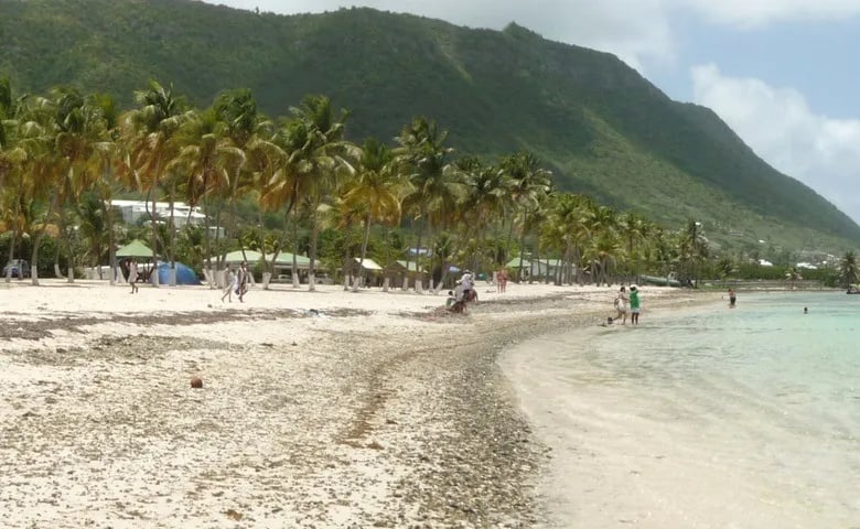 TOP 17 General French Courses for Adults in Compare