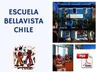 Combinado: Clases en Grupo + Particulares Escuela Bellavista (PDF)