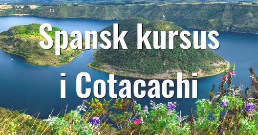 Facebook Share Box bybillede