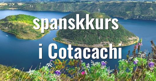 Facebook delingsboks bybilde