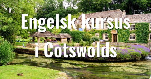 Facebook Share Box bybillede