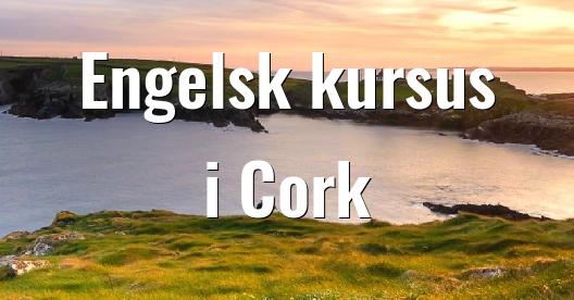 Facebook Share Box bybillede