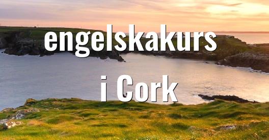 Facebook delningsbox stadssida