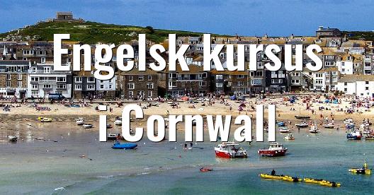 Facebook Share Box bybillede