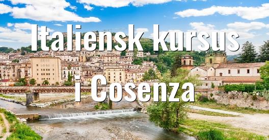 Facebook Share Box bybillede