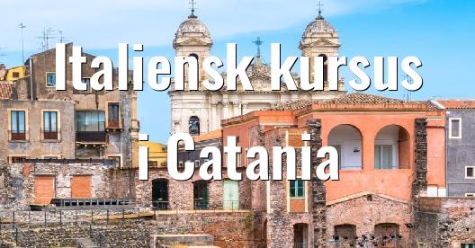 Facebook Share Box bybillede