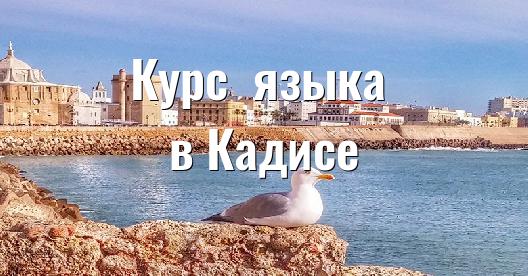Изображение города, которым можно поделиться в Facebook