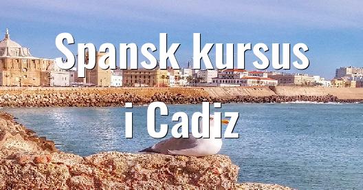 Facebook Share Box bybillede