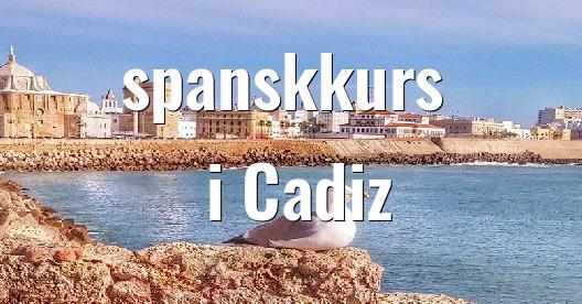 Facebook delingsboks bybilde