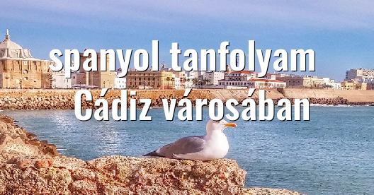 Facebook megosztási ablak városkép