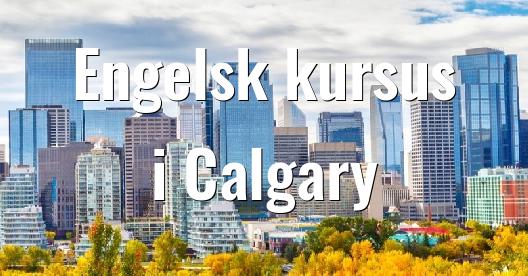 Facebook Share Box bybillede