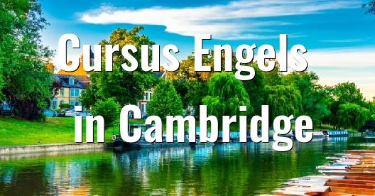 Facebook Share Box stadsbeeld