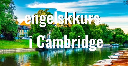 Facebook delingsboks bybilde