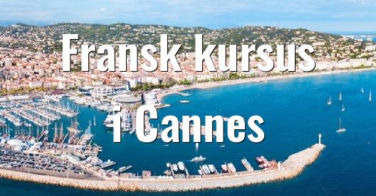 Facebook Share Box bybillede