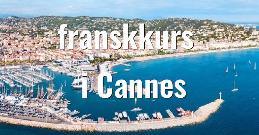 Facebook delingsboks bybilde