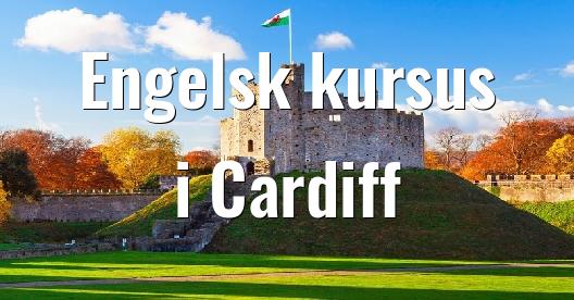 Facebook Share Box bybillede