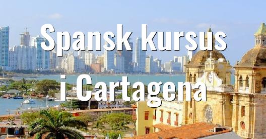 Facebook Share Box bybillede