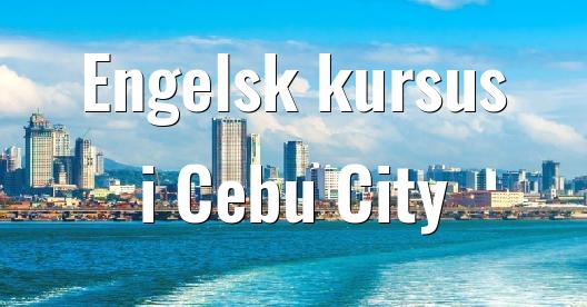 Facebook Share Box bybillede