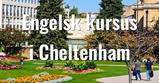 Facebook Share Box bybillede