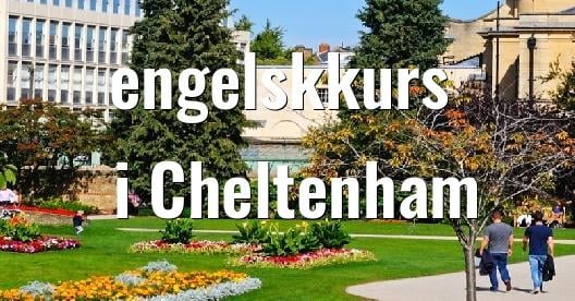 Facebook delingsboks bybilde