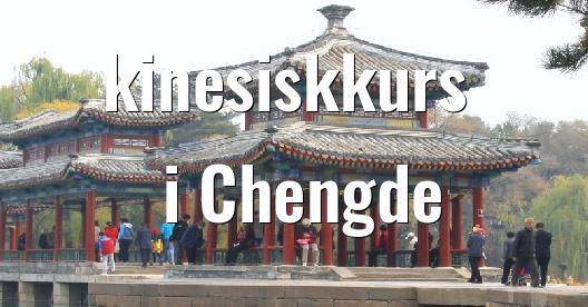 Facebook delingsboks bybilde