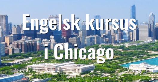 Facebook Share Box bybillede