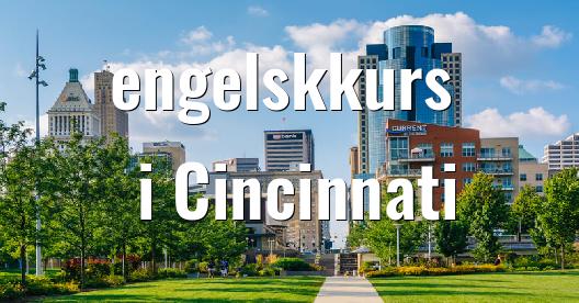 Facebook delingsboks bybilde