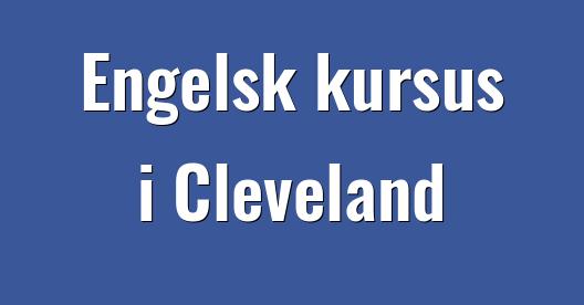 Facebook Share Box bybillede