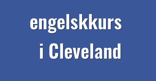 Facebook delingsboks bybilde