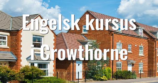 Facebook Share Box bybillede