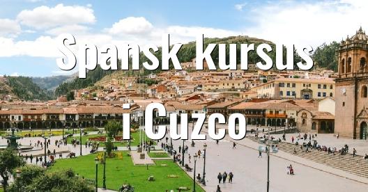 Facebook Share Box bybillede