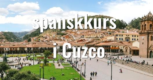 Facebook delingsboks bybilde