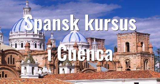 Facebook Share Box bybillede