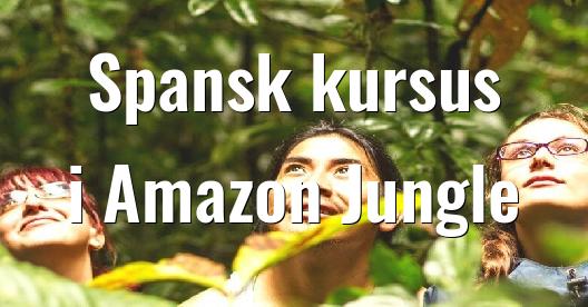 Facebook Share Box bybillede