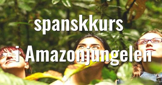 Facebook delingsboks bybilde