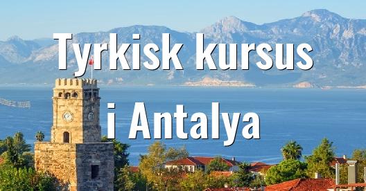 Facebook Share Box bybillede