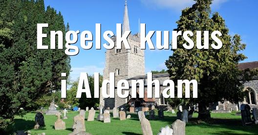 Facebook Share Box bybillede