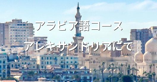 Facebook共有ボックスの都市イメージ