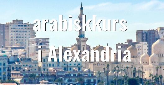 Facebook delingsboks bybilde