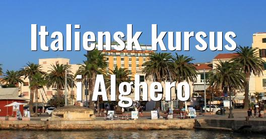 Facebook Share Box bybillede