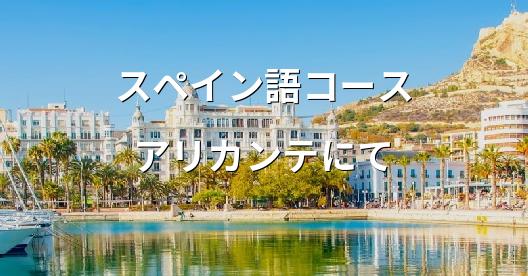 Facebook共有ボックスの都市イメージ