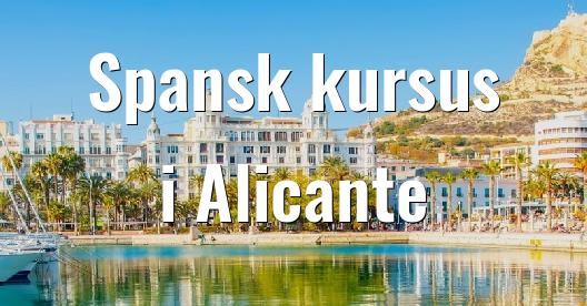 Facebook Share Box bybillede