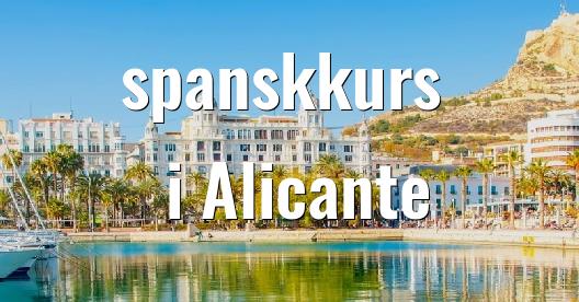 Facebook delingsboks bybilde