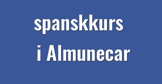 Facebook delingsboks bybilde