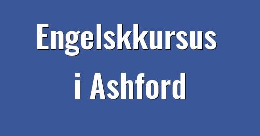 Facebook Share Box bybillede