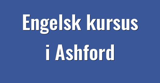 Facebook Share Box bybillede