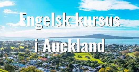 Facebook Share Box bybillede