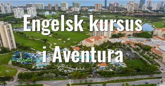 Facebook Share Box bybillede