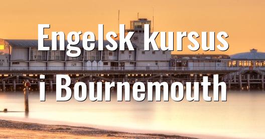 Facebook Share Box bybillede